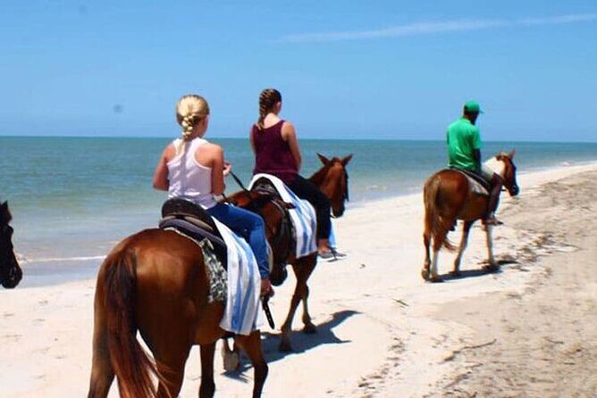 Dunn's River Falls and Horseback Riding Tour from Montego Bay - Frequently Asked Questions