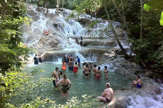 Dunns River Falls and Jamaica Sightseeing Private Tour - Rave Reviews and Testimonials