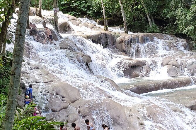 Dunn's River Falls and Martha Brea Bamboo rafting with admissions - Good To Know