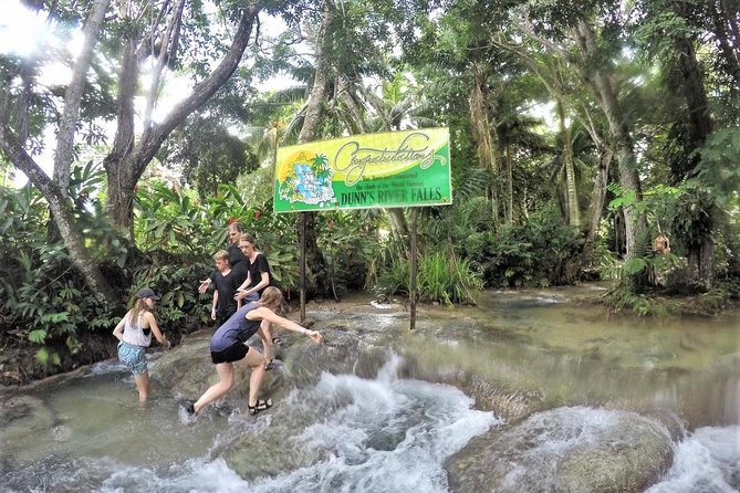 Dunns River Falls and Ocho Rios Shopping Tour From Montego Bay Hotels - Cancellation Policy