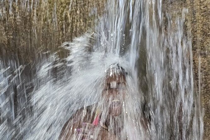 Dunn's River Falls and Ocho Rios Sightseeing with Shopping - The Balance of Adventure and Comfort