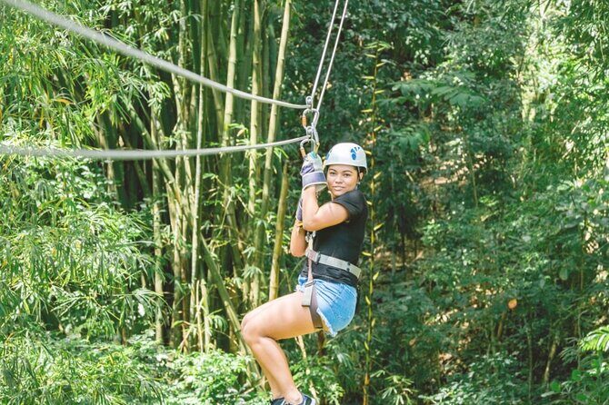Dunn's River Falls and Park Tour with Zip Line from Montego Bay - Introduction
