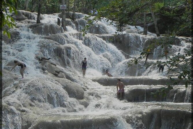 Dunns River Falls and Zipline Adventure from Kingston - Good To Know