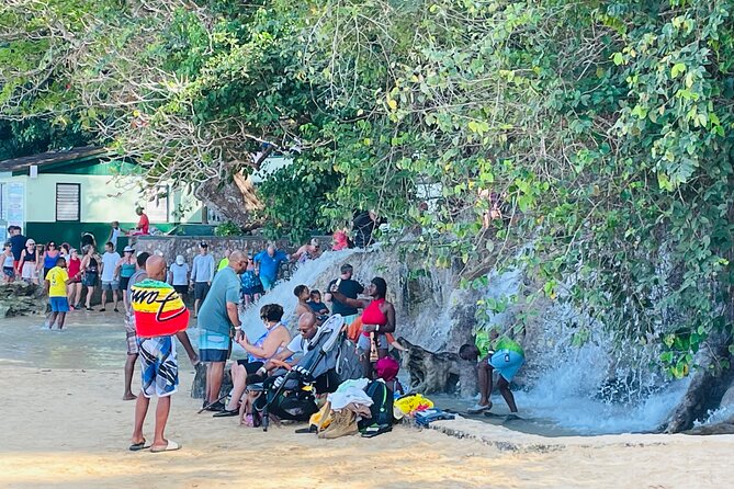 Dunns River Falls & Blue Hole Private COMBO Tour From Montego Bay - Reviews and Ratings