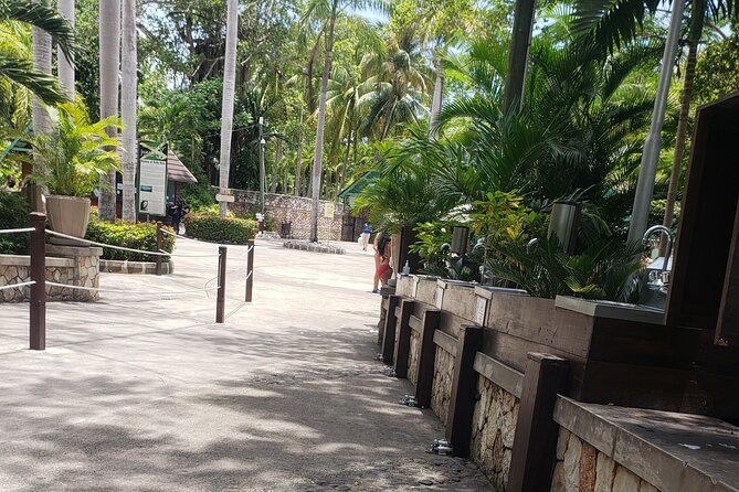 Dunns River Falls & Blue Hole Tour From Montego Bay - Pricing and Reservation Details