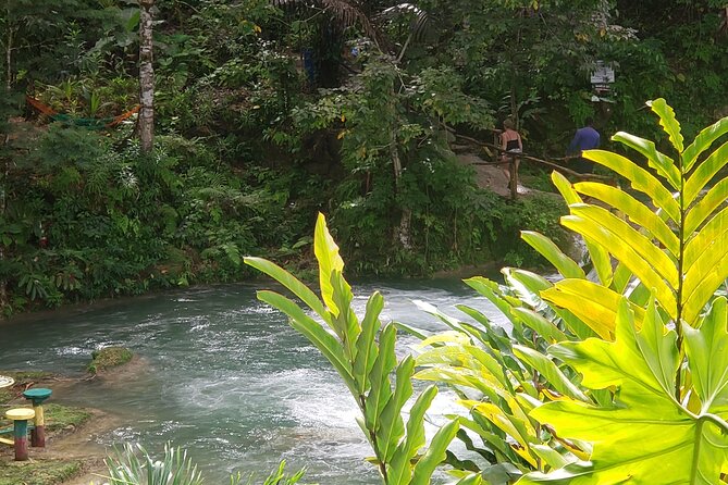 Dunns River Falls & Blue Hole Tour From Montego Bay - Reviews