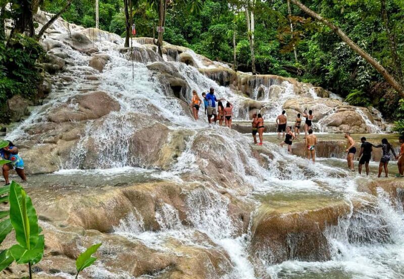 Dunn's River Falls, Bob Marley 9 Mile - Optional Lagoon Tour - What Reviewers Love Most