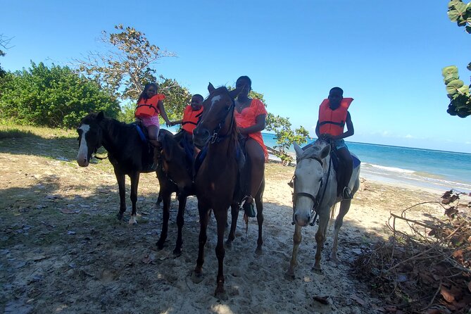 Dunns River Falls Climb, Zipline and Horseback Riding Private Tour - Tour Overview