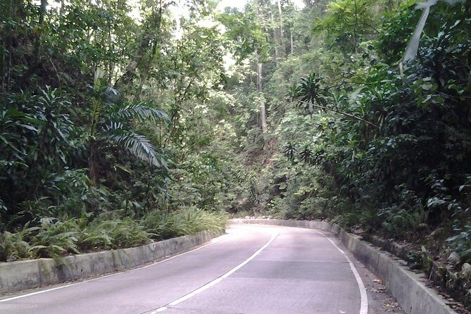 Dunn's River Falls Excursion from Ocho Rios - FAQ