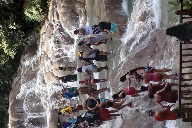 Dunns River Falls From Falmouth - Tour Overview