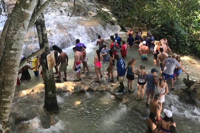 Dunns River Falls From Montego Bay - Inclusions and Logistics