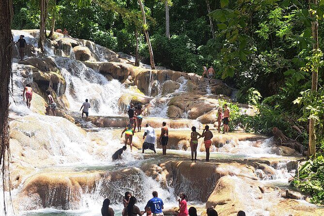 Dunn's River Falls & Island Village, Private Tour from Kingston - An In-Depth Look at the Tour Experience
