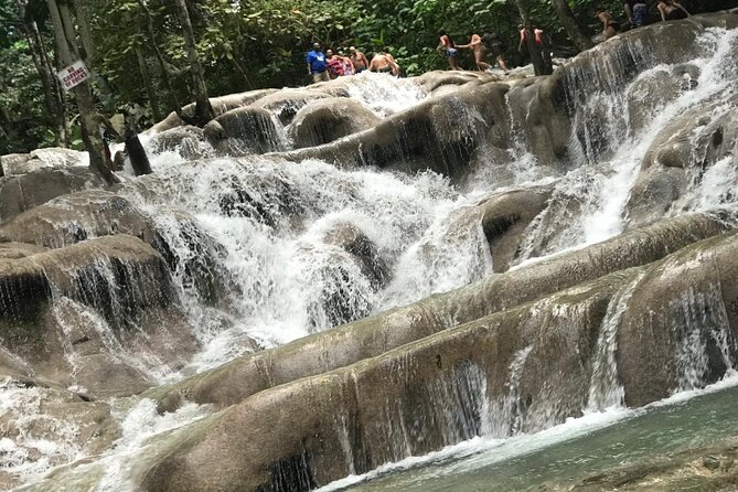Dunns River Falls Ocho Rios With Private Transportation From Montego Bay - Tour Details