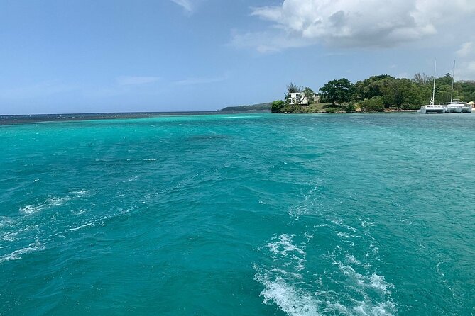 Dunns River Falls Party Cruise, Blue Hole With Snorkeling, Free Beverages - The Sum Up
