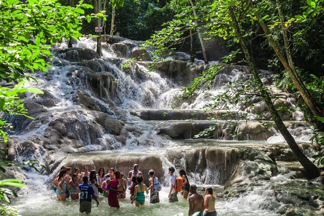 Dunns River Falls Plus Luminous Lagoon (Glistening Water)Private Tour - Key Itinerary Highlights