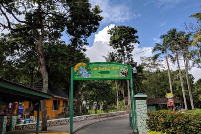 Dunns River Falls Private Tour - Tour Pricing Information