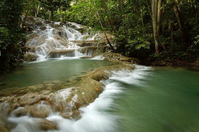 Dunns River Falls Private Tour From Montego Bay - Tour Highlights