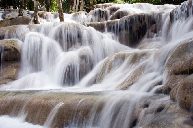 Dunns River Falls Private Tour From Montego Bay - Itinerary Details