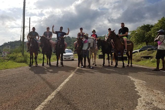 Dunns River Falls, River Tubing, and Horseback Riding With Transportation - Pricing and Booking Details