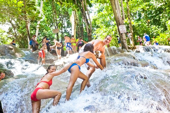 Dunns River Falls Tour From Montego Bay Transfers - Tour Highlights