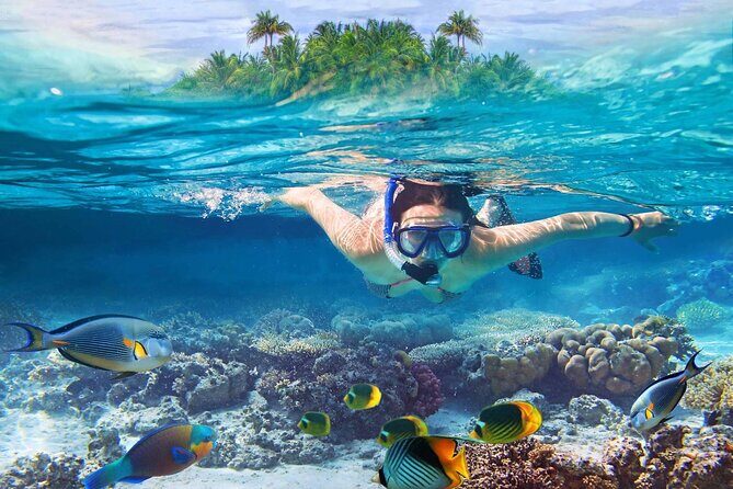 Dunn's River Falls with Catamaran Cruise Tour from Montego Bay - The Catamaran Cruise