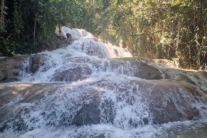 Dunns River Falls With Private Transportation From Montego Bay - Tour Highlights