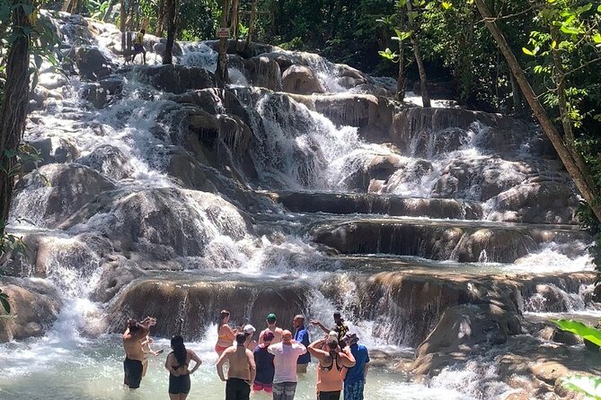 Dunns River Falls, Zipline Adventure From Kingston - Highlights of the Zipline Experience