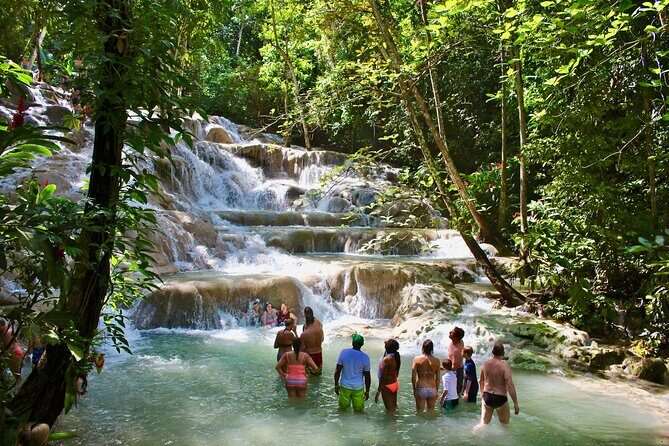 Dunn's River Private Tour from Montego Bay - An In-Depth Look at the Dunn’s River Private Tour