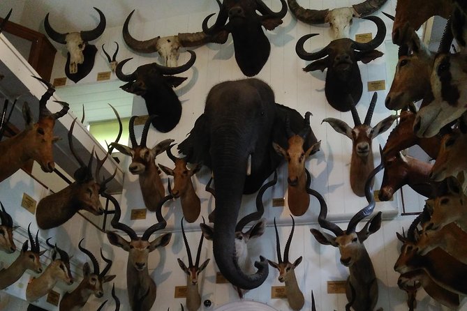 Dunrobin Castle, Dornoch, and Glenmorangie Distillery - History of Dunrobin Castle