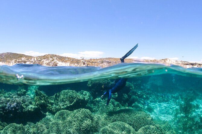 Dunsborough Eco and Snorkel Boat Tour - Booking, Pricing, and Practical Tips