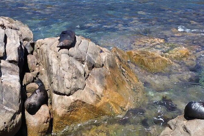 Dunsborough Eco and Snorkel Boat Tour - Conclusions: Who Will Love the Dunsborough Eco and Snorkel Boat Tour?