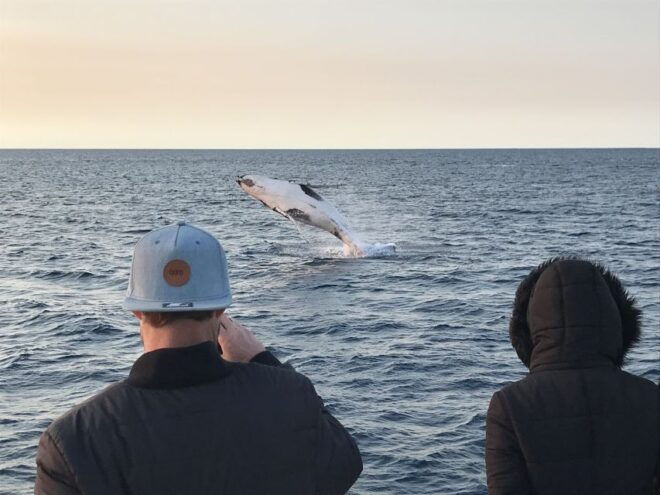 Dunsborough: Whale Watching Tour - Review Summary
