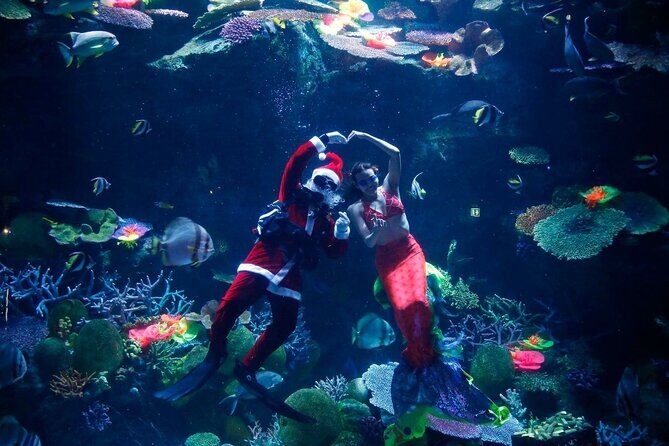 Duo SEA LIFE and Madame Tussauds Ticket in Bangkok - Introduction: What to Expect from the Duo Tour