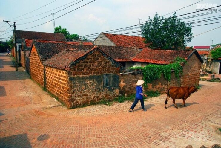 Duong Lam Ancient Village Day Trip Private Tour - Tour Details