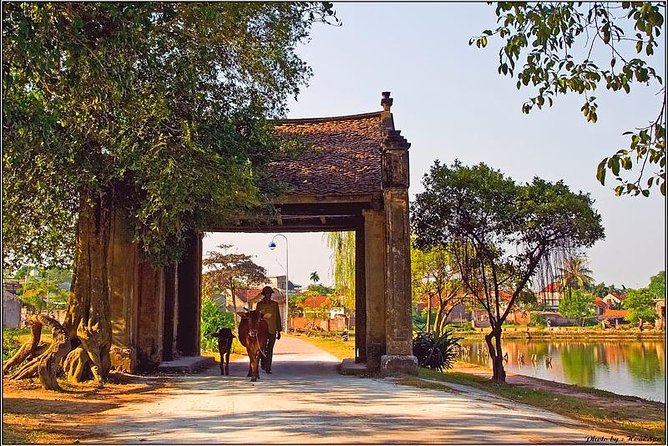 Duong Lam Ancient Village Full Day Tour From Hanoi & Experiencing Local Life - Reviews