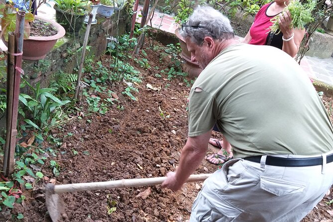 Duong Lam Ancient Village - Thay Pagoda - Van Phúc Silk - Reviews and Ratings of the Tour Experience