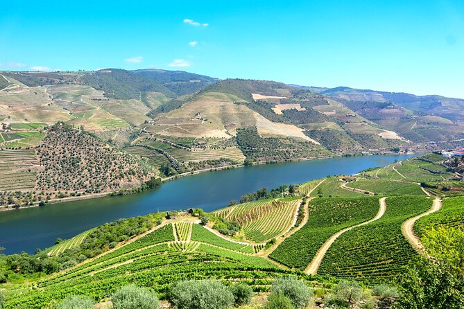 Duoro Valley Small-Group Wine Tour With Tastings and Lunch  - Porto - Tour Overview and Highlights