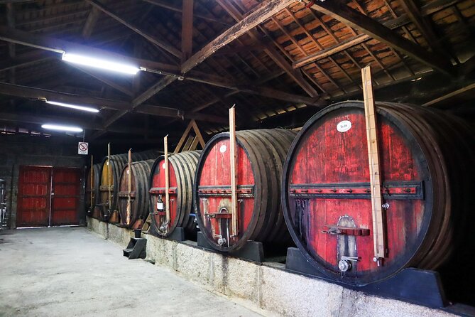 Duoro Valley Small-Group Wine Tour With Tastings and Lunch  - Porto - Delicious Local Lunch