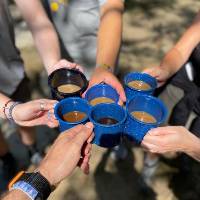 Dupont State Forest: Three Waterfalls Hike With Coffee Brew - Trail Overview