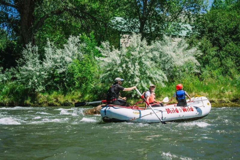 Durango 1/4 Day Rafting Trip - Lower Animas River - An Introduction to the Durango Rafting Experience
