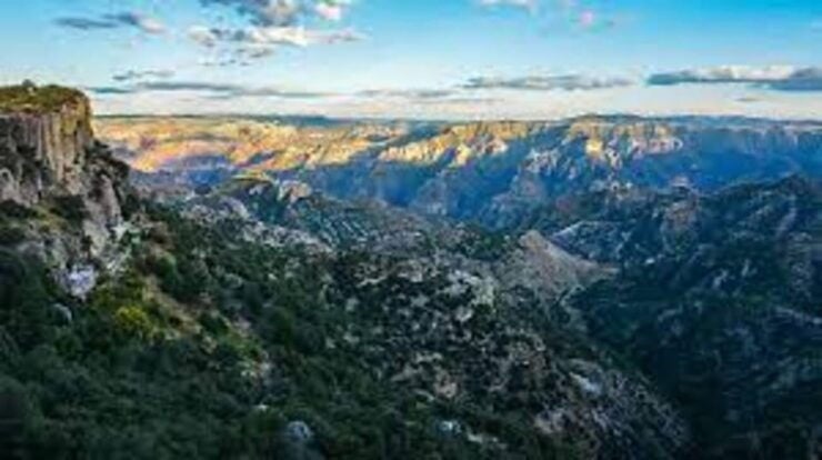 Durango: Beauties of the Sierra Madre Occidental Tour - Tour Details