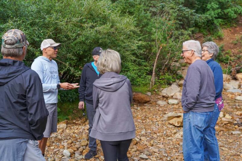 Durango Half Day Jeep Tour - La Plata Canyon - Introduction: What Makes This Jeep Tour Special?  