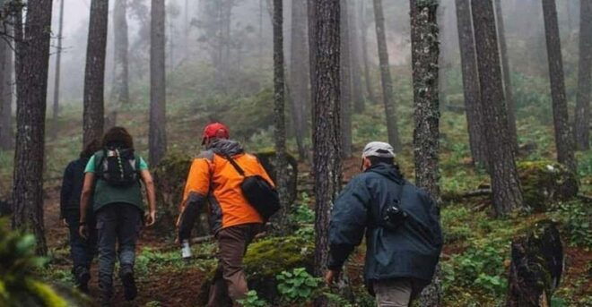Durango: La Piramide Park Birdwatching and Hiking - Excluded From the Tour