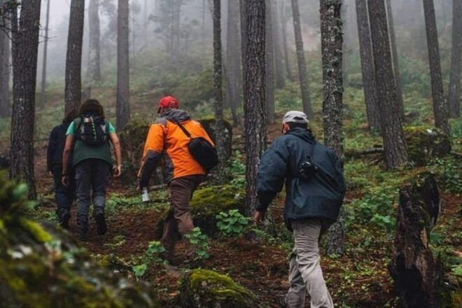 Durango: La Piramide Park Birdwatching and Hiking - Age and Physical Requirements