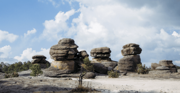 Durango: Mexiquillo Tour - Knowledgeable Guidance