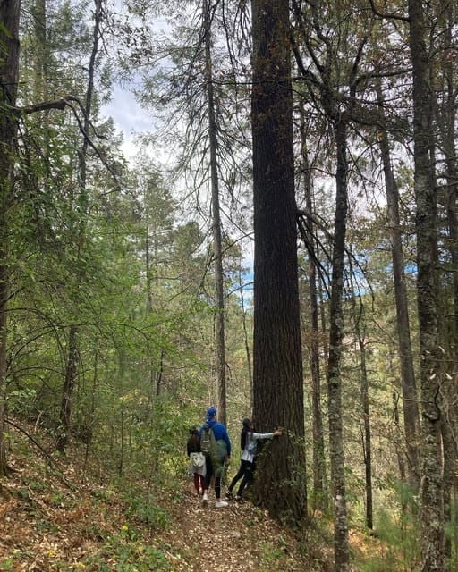 Durango: Pyramid Park Ziplining and Hiking Experience - Good To Know