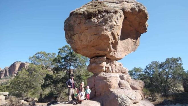 Durango: Sierra De Órganos and El Malpaís Tour - Inclusions