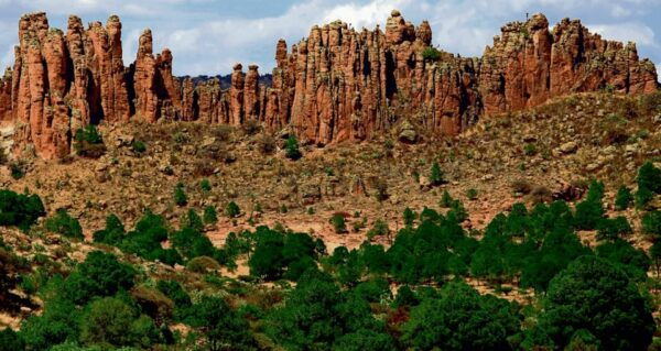 Durango: Sierra De Órganos and El Malpaís Tour - Booking and Cancellation