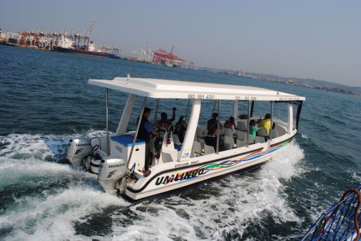 Durban: 1-Hour Boat Cruise From Wilsons Wharf - Good To Know