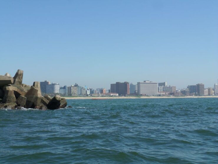 Durban: 1-Hour Boat Cruise From Wilsons Wharf - Highlights